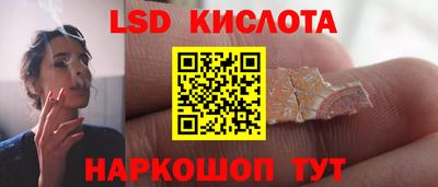 шишки Бузулук